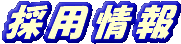 �̗p���