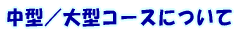 ���^�^��^�R�[�X�ɂ���