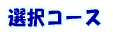 ���@�I���R�[�X�@��