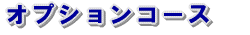 �I�v�V�����R�[�X