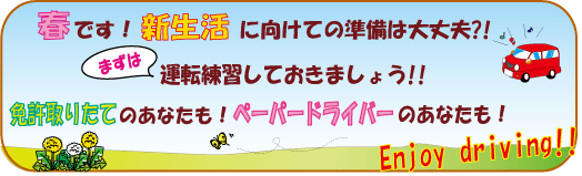 paper_course_info_spring