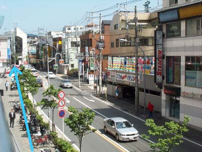 「ドン・キホーテ」沿いの道